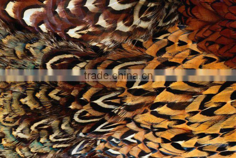 Wholesale Antislip bathroom door mat