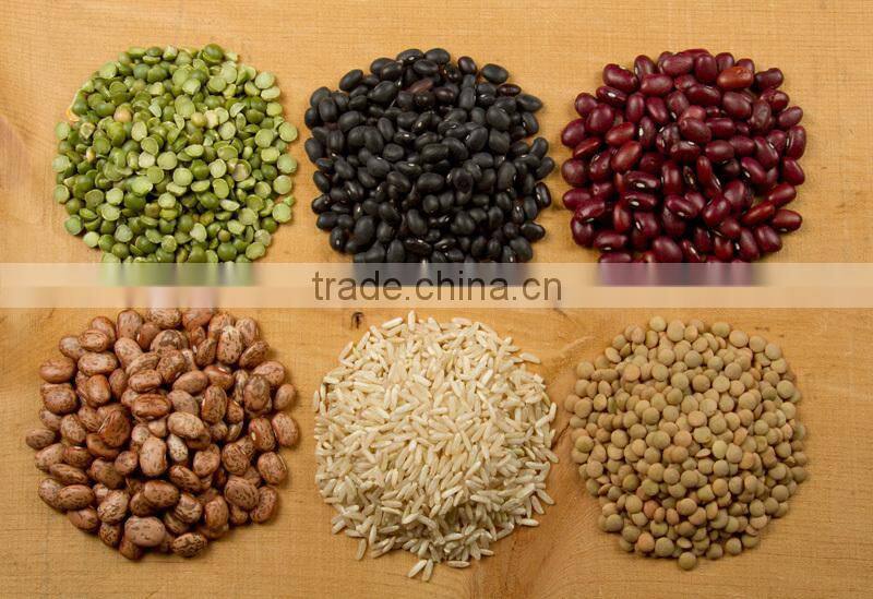 TOPY-VW2 2-head automatic weighing packaging machine, digital weighing scale machine, automatic packing machine