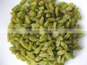 dried fruit green raisin sultana golden raisn