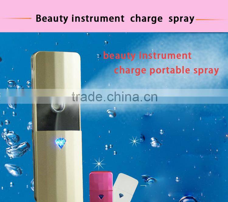 EveryLady usb charging hand held facial steamers