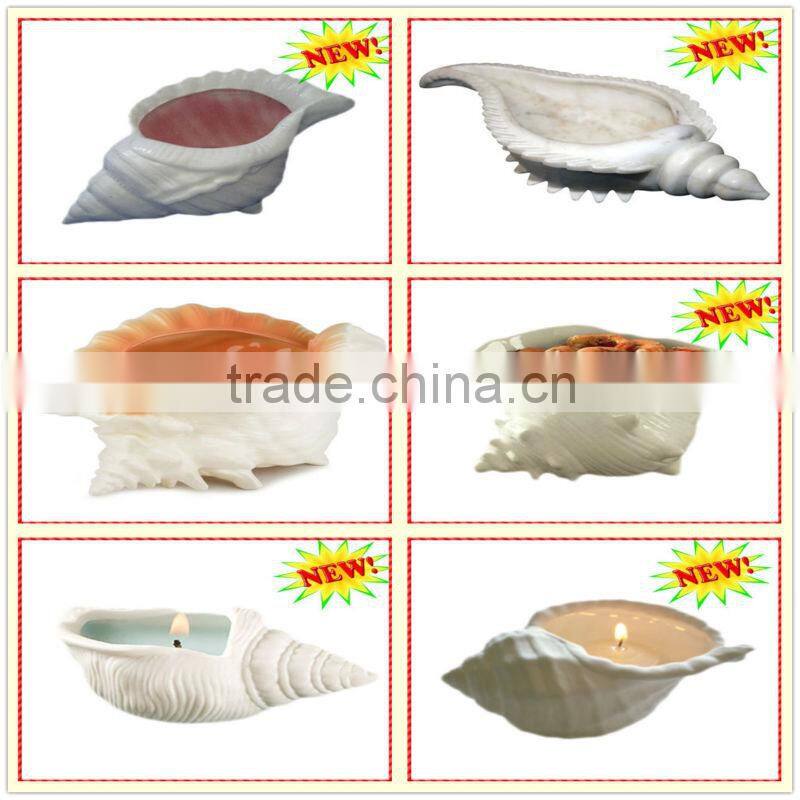 Limited rare version customized queen conch shells