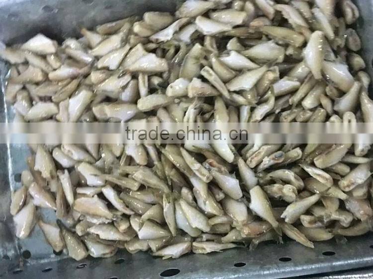 high quality frozen filefish leather jacket fish