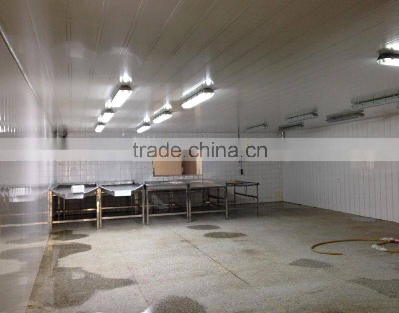 quick IQF strawberry whole