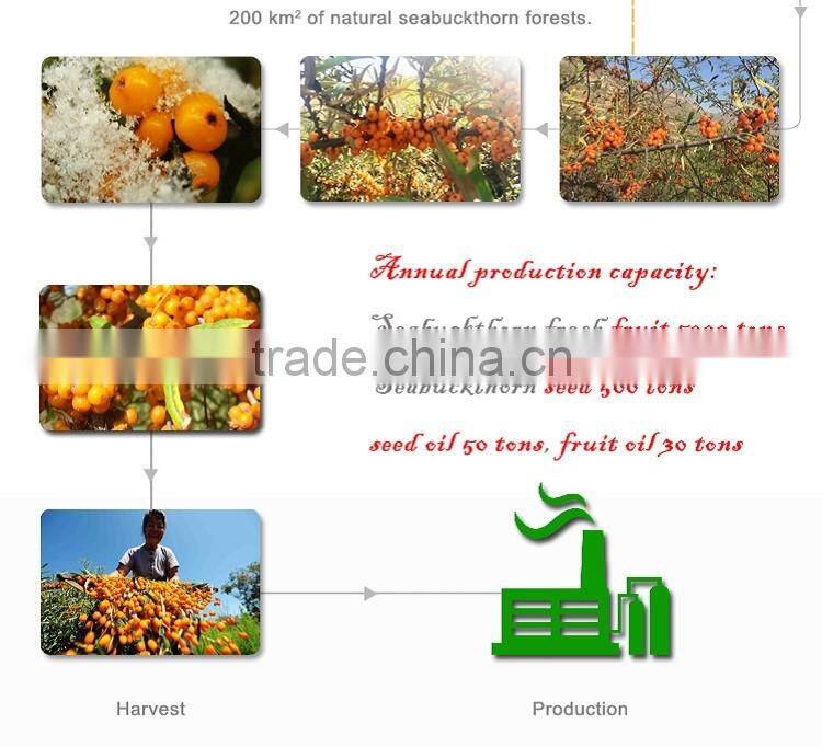 Cans of factory direct sale Seabuckthorn fruit juice