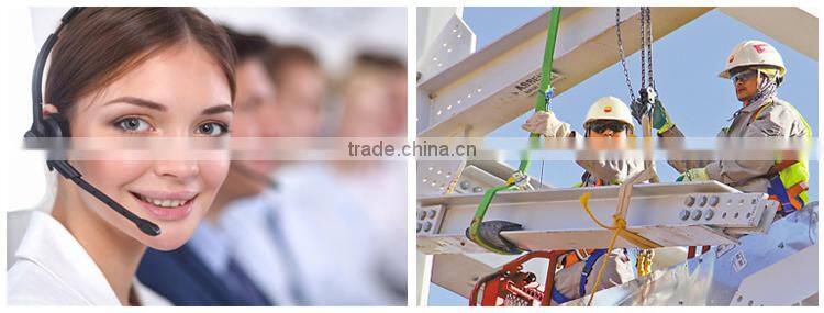 complete pig slaughter machine Pig Sliding Chute butchery equipment of pig slaughter house