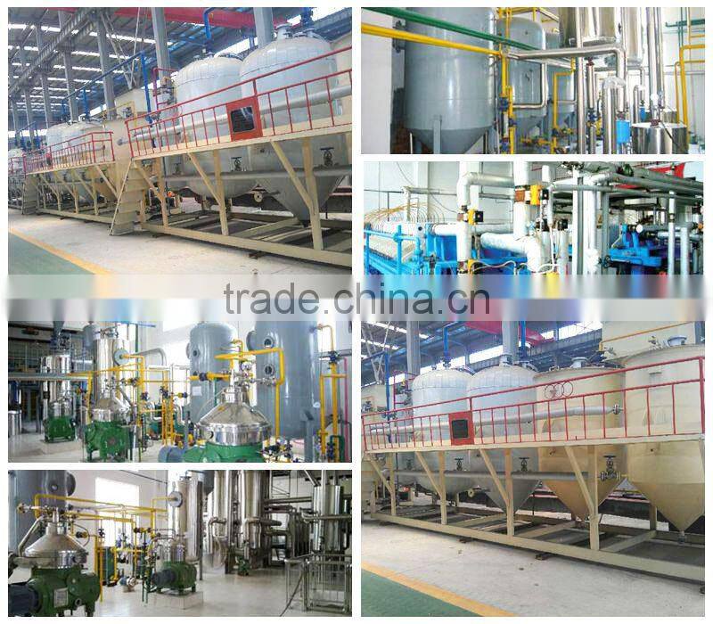 small scale standard palm oil refinery in malaysia