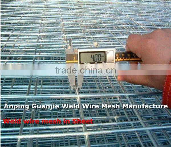 electro galvanized welded wire mesh( Direct Manufacturer)