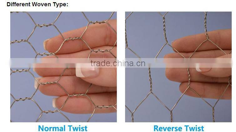 electro galvanized hexagonal wire mesh/hot dip galvanized hexagonal wire mesh