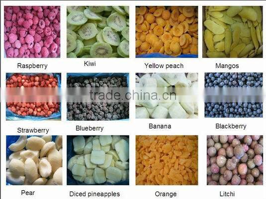 Pre-production equipment frozen vegetable production line