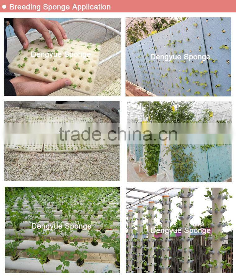 No need fertilizer Save soil green planting hydroponic foam odorless growing sponge