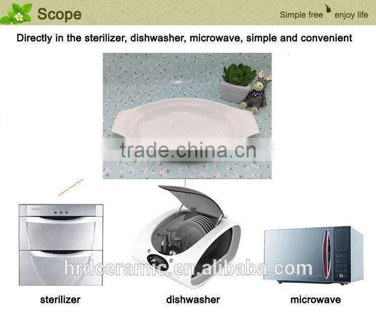 Wholesale stocked Porcelain Plate /Hotel/Restaurant/Banquet Ceramic Combined Plate / Buffet Dishes