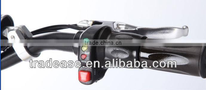 CE Super Power 500w 800w 1000W electric scooter