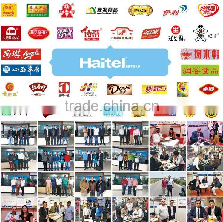 2017 Haitel HTL Large Air Puffing Machine for cake ,bread and rice bar