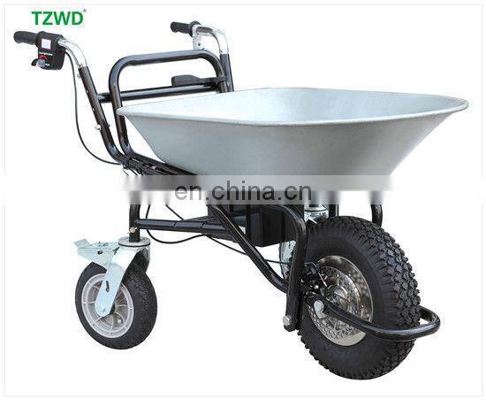 Electric Trolley with 230W for Carring Heavy Goods (AF-2D)