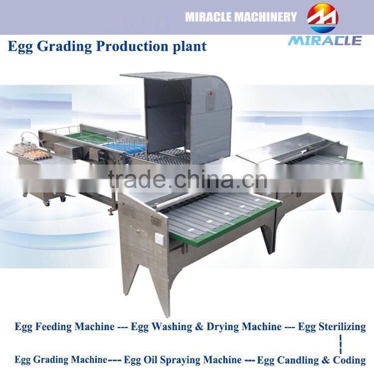 Egg washing and grader machine, chicken egg drying and coding machines, goose eggs weight grading sorter machine