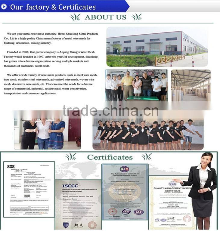 Hebei Shuolong XY-3317 stainless steel metal mesh ceiling