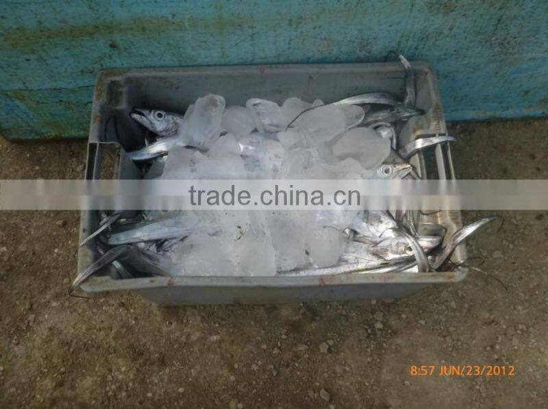 2016 Hot Sale hot sales plate ice maker with stainless steel 304