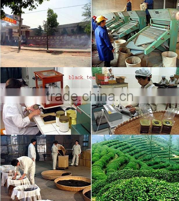 chunmee green tea 41022AAA