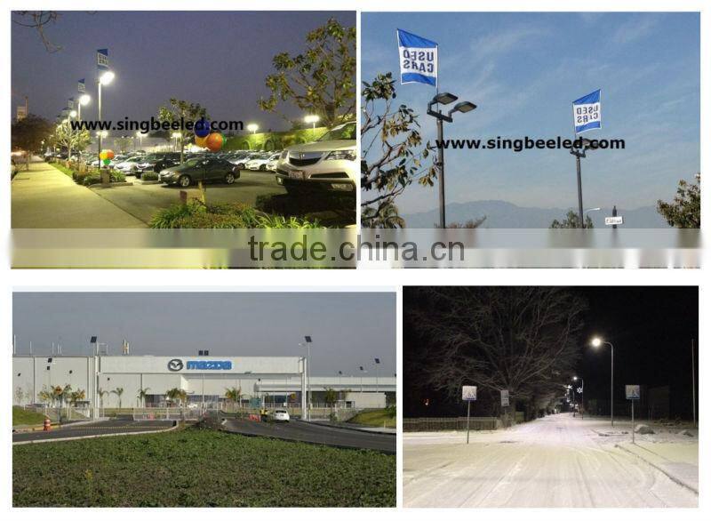CE ENEC ERP CB UL DLC 100W 120W 150W 250W special design 5yrs Warranty Outdoor Park Street Lamp