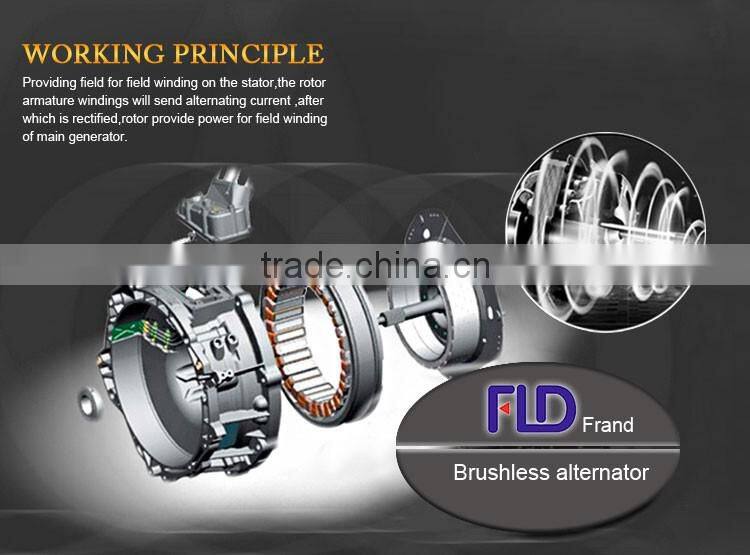 High Quality Low Speed Dynamo Alternator Watt