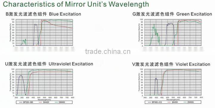 NIB-100F Professional Trinocular Inverted Fluorescent Biological Microscope with camera