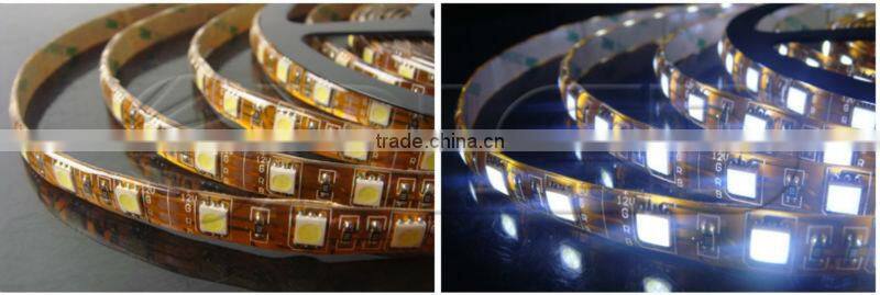 DC12V 60pcs/m 5050SMD outdoor CE&ROHS led strip kit