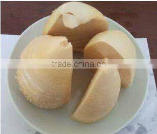 NEW PROMOTION!! bamboo shoot in tin