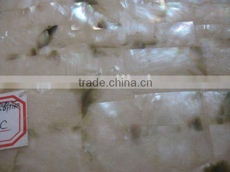 Natural mother of pearl sea shell wall tile