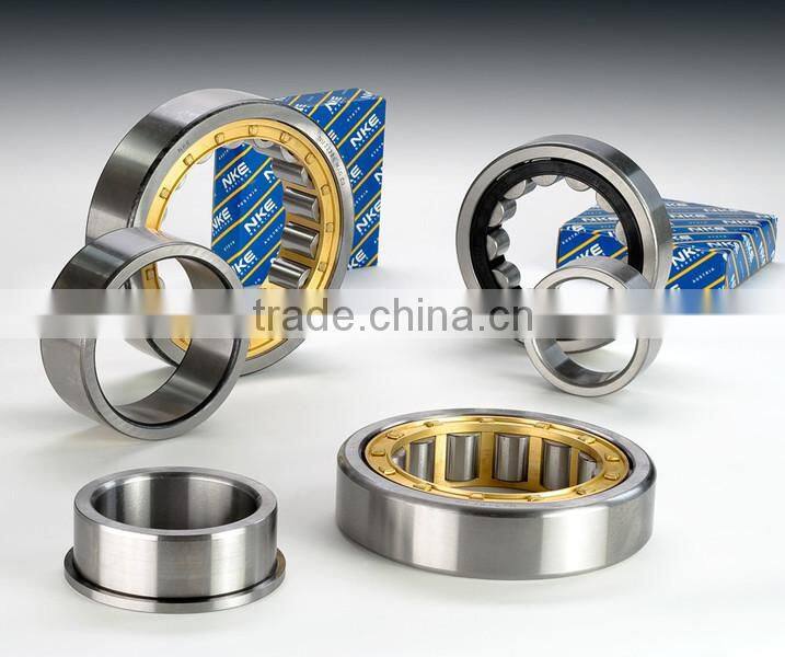 Double row cylindrical roller bearing NN3007
