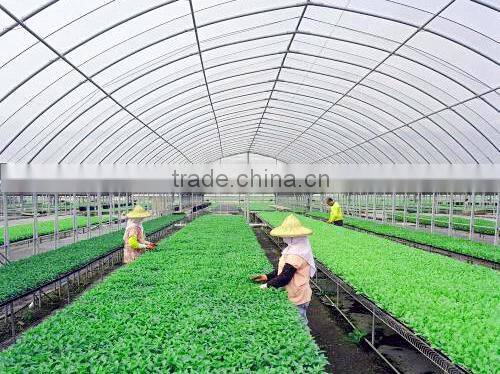 Colors FRP Transparent/Translucent Roof tile sheet