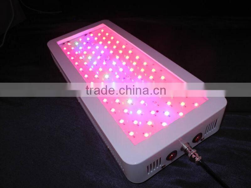 100X3W Discount Led Plant Grow Light Wavelength Led Grow Lights For Plangting EG200