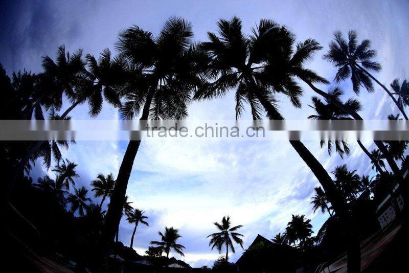 2016 best camera lens combo universal magnetic mount 3 in 1 optical lens for iphone 6 5s samsung s5 s6 htc one m7 m8 m9