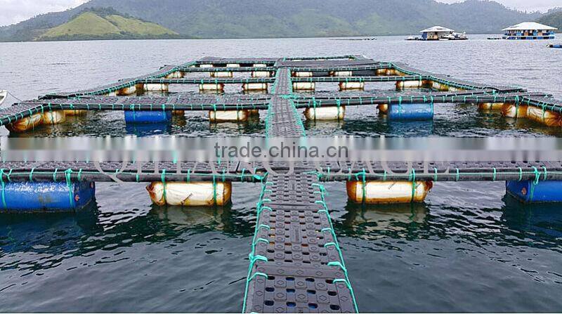 tilapia farm/catfish farm/trout farm/carp farm floating cage