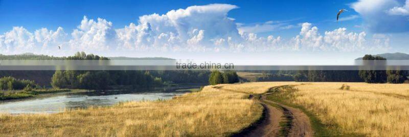 CS02 Modern Home Decoration Handmade Scenery Oil Painting On Canvas