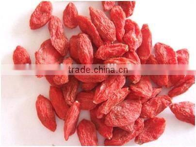 goji berry price, dried organic goji berry