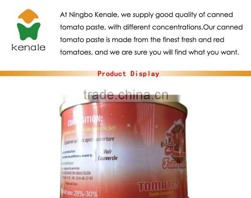 Small tomato paste machine for easy open lid 70gX50tins
