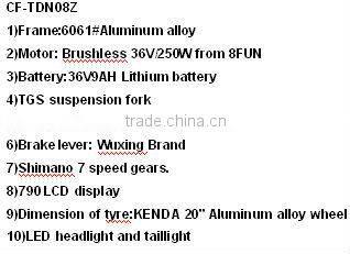 New beautiful rear carrier folding ebike