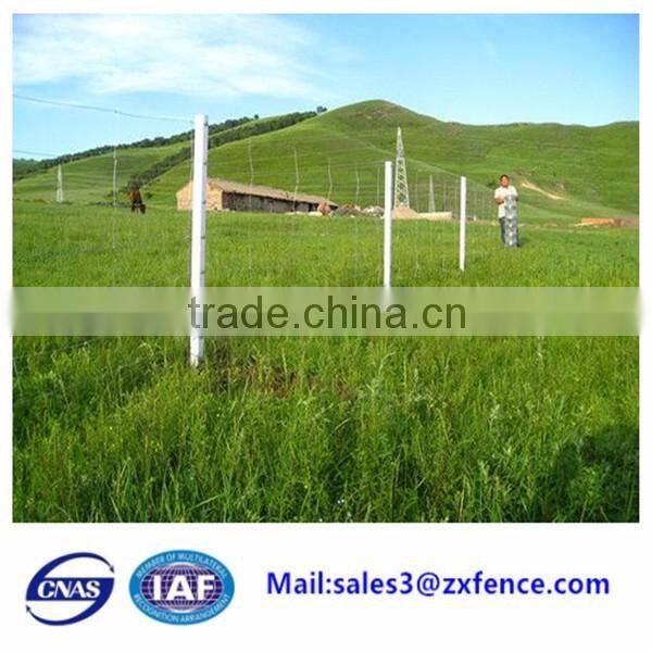 Alibaba best sale export factory pig fence,goat fence, cow fence