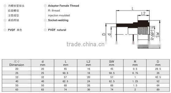 PVDF SW/Socket Welding Union Type 24