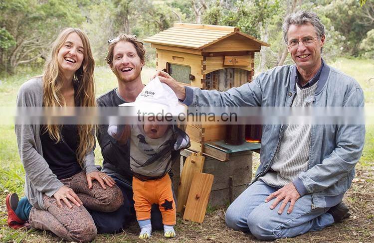 Automatic langstroth flowing bee hive with 8 frames from super supplier