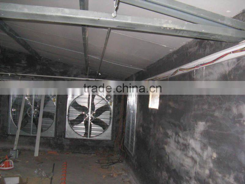 Automatic chicken poultry farming equipment