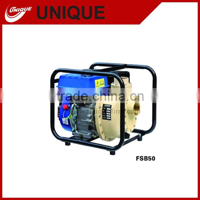 unique Water Pump wp30