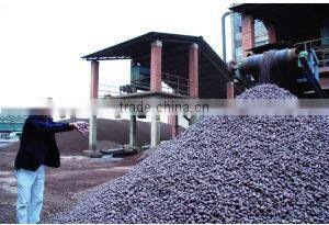 1-2MM long-term export/CERAMSITE for water treatment