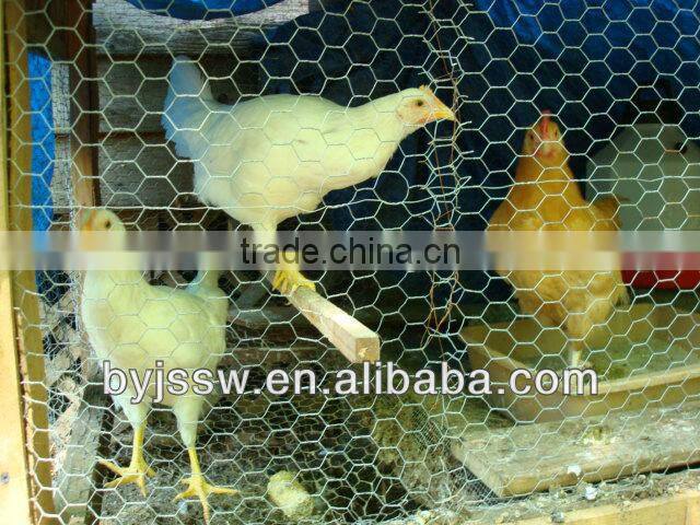Galvanized Chicken Cloth Wire Netting