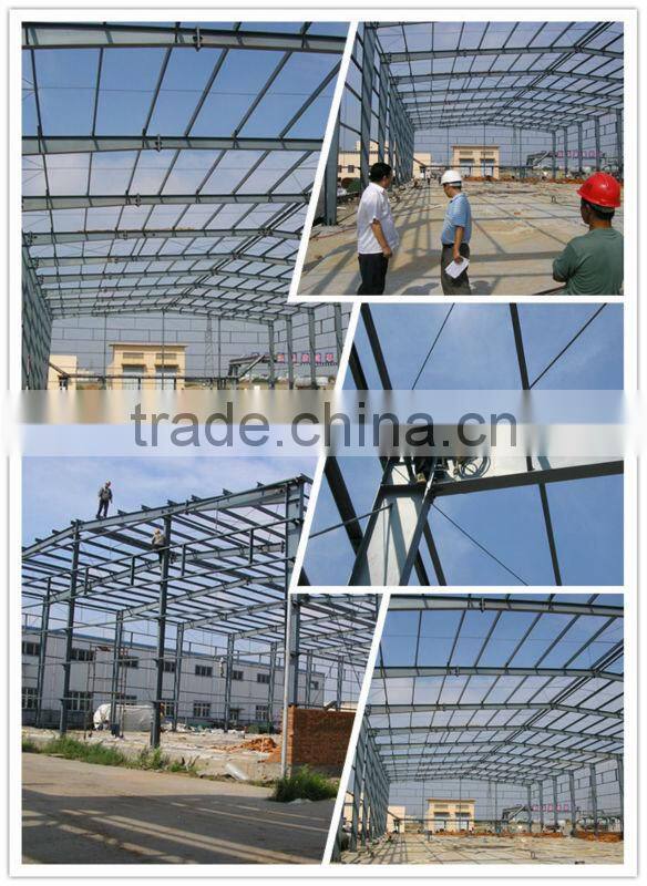 Agriculture Farm High Quality Steel Buillduing