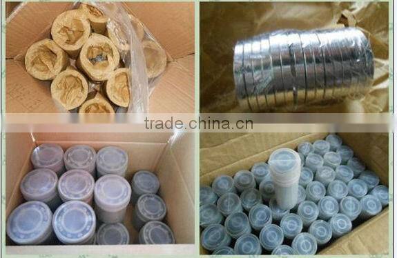 TXIND linear motion bearing