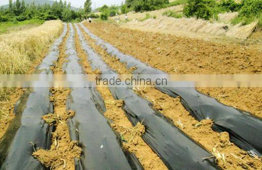 Multi-fonction Mulch Film