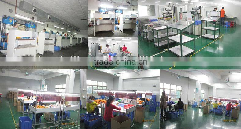 HOT New design Different colors foldable silicone frisbee