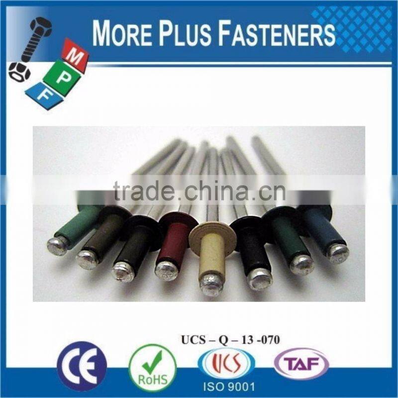 Made in Taiwan Painted Head Fasteners