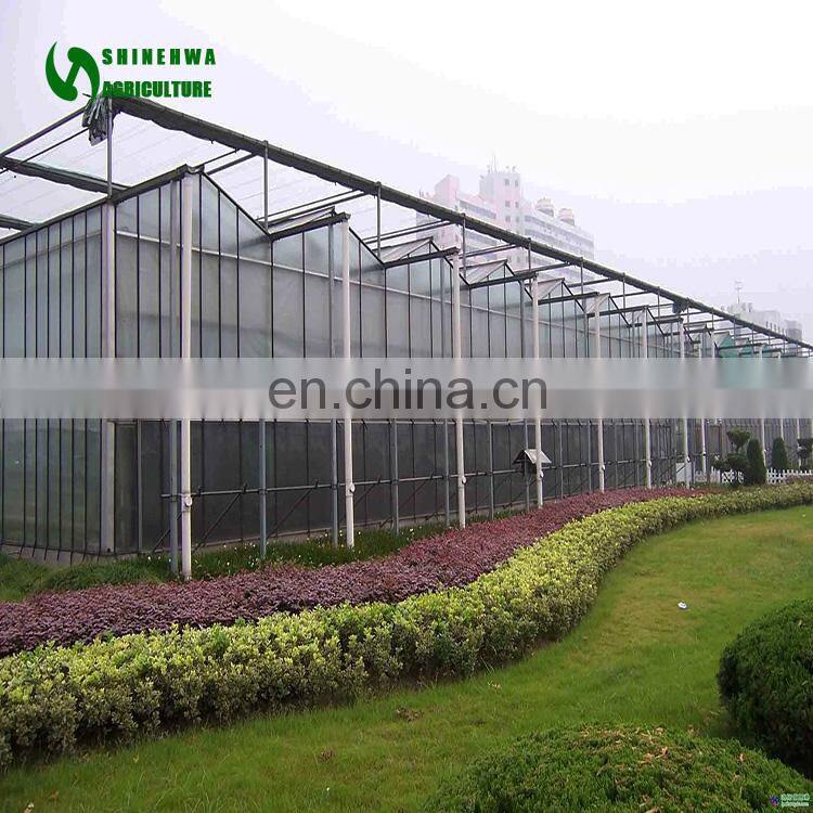 Large Size and Glass Cover Material agricultural greenhouses
